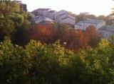Appartamento, SEGRATE, 245.000 €, 78,00 mq