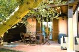 Casa, CAPALBIO, 479.000 €, 153,00 mq