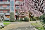 Appartamento, SEGRATE, 198.000 €, 54,00 mq