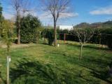 Casa, CASTELLARANO, 320.000 €, 220,00 mq