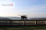 Casa, ARCUGNANO, 1.200.000 €, 708,00 mq
