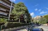 Appartamento, ROMA, Tomba di Nerone, 610.000 €, 181,00 mq