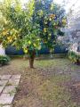 Appartamento, NICOLOSI, 169.000 €, 70,00 mq