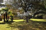 Casa, FORTE DEI MARMI, 1.900.000 €, 250,00 mq