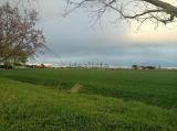 Appartamento, RAVENNA, San Pietro in Campiano, 165.000 €, 110,00 mq