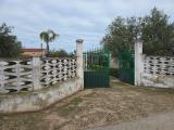 Casa, BISCEGLIE, 120.000 €, 61,00 mq