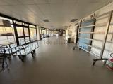 Superfici commerciali, TERMOLI, 169.000 €, 270,00 mq