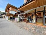 Superfici commerciali, PINZOLO, 1.900.000 €, 230,00 mq