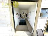 Superfici commerciali, MOLA DI BARI, 140.000 €, 330,00 mq