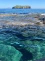 Appartamento, VENTOTENE, 199.000 €, 50,00 mq
