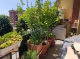 Appartamento, PRATO, 199.000 €, 65,00 mq