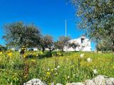 Casa, ALBEROBELLO, 198.000 €, 281,00 mq