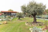 Casa, CIRIÈ, 329.000 €, 243,00 mq