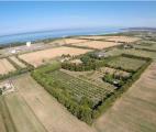 Casa, ROSIGNANO MARITTIMO, 790.000 €, 715,00 mq