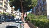Superfici commerciali, MESSINA, 49.000 €, 79,00 mq