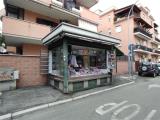 Superfici commerciali, LADISPOLI, 148.500 €, 15,00 mq