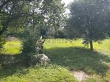 Casa, MIRANO, 115.000 €, 119,00 mq
