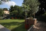 Appartamento, CALOLZIOCORTE, 279.000 €, 169,00 mq
