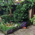 Casa, AGRATE BRIANZA, 365.000 €, 150,00 mq