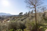 Appartamento, LUCCA, 500.000 €, 280,00 mq