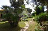 Casa, NOICATTARO, 630.000 €, 240,00 mq