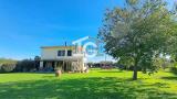 Casa, FAUGLIA, 435.000 €, 190,00 mq