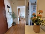Appartamento, REGGIO NELL