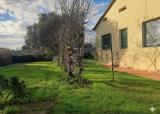Casa, LUCCA, Mugnano, 450.000 €, 160,00 mq