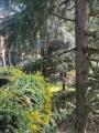 Appartamento, PADOVA, Forcellini, 470.000 €, 275,00 mq