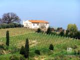 Casa, TERRICCIOLA, 590.000 €, 400,00 mq