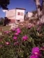 Appartamento, MARCIANA, 395.000 €, 220,00 mq