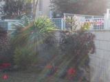 Appartamento, FIUMICINO, 247.000 €, 45,00 mq