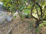 Appartamento, SIRACUSA, 50.000 €, 50,00 mq