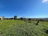 Casa, ORBETELLO, 1.500.000 €, 237,00 mq