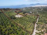 Casa, ALGHERO, 1.000.000 €, 928,00 mq