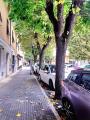 Superfici commerciali, FOLLONICA, 90.000 €, 45,00 mq