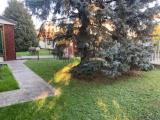 Appartamento, BONATE SOPRA, 109.000 €, 98,00 mq
