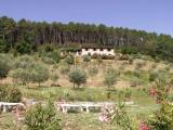 Casa, CAPANNORI, 990.000 €, 140,00 mq