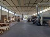 Superfici commerciali, CAPANNORI, 400.000 €, 1000,00 mq