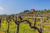 Casa, FRASCATI, 520.000 €, 495,00 mq