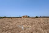 Casa, TAVIANO, 69.000 €, 60,00 mq