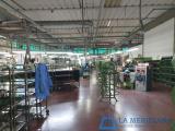 Superfici commerciali, CERRETO GUIDI, 850.000 €, 1317,00 mq