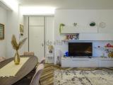Appartamento, SEGRATE, 480.000 €, 95,00 mq