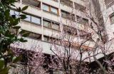 Appartamento, TORINO, 185.000 €, 50,00 mq