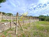 Appartamento, CAMPO NELL