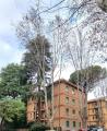 Appartamento, ROMA, Montesacro, 248.000 €, 89,00 mq