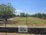 Casa, POMARICO, 74.000 €, 85,00 mq