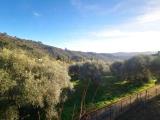 Casa, IMPERIA, 350.000 €, 220,00 mq