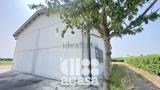 Superfici commerciali, CESENA, 280.000 €, 220,00 mq