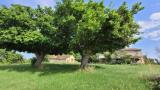 Casa, AGUGLIANO, 150.000 €, 520,00 mq